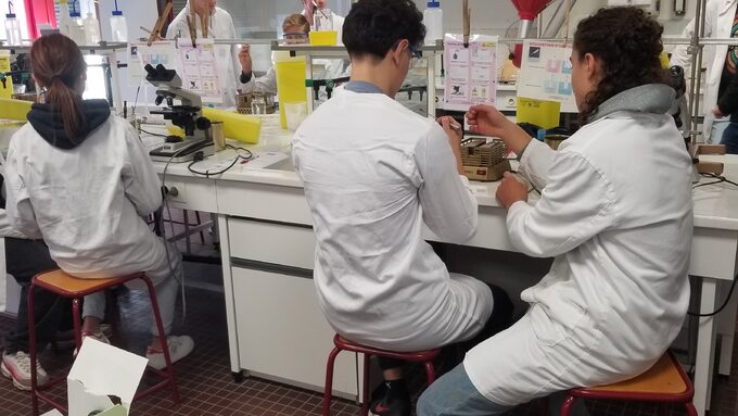 Atelier Biotechnologie